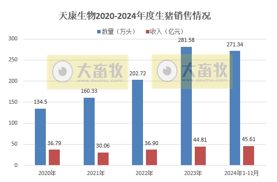 天康和华统2024年11月及前11月生猪销售情况