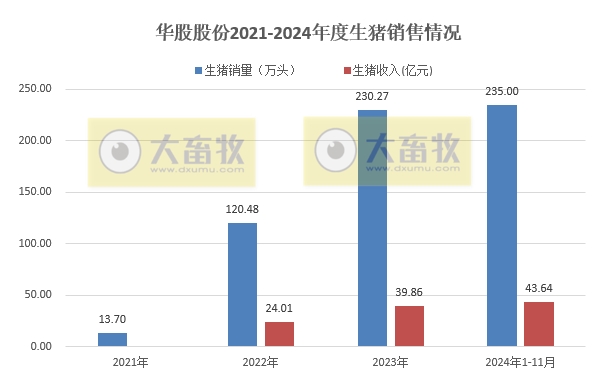 天康和华统2024年11月及前11月生猪销售情况