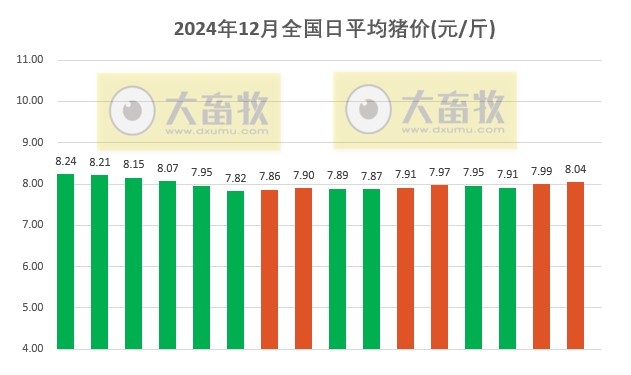 今日猪价 | 2024.12.16 猪价行情——猪价继续上涨，突破8元大关