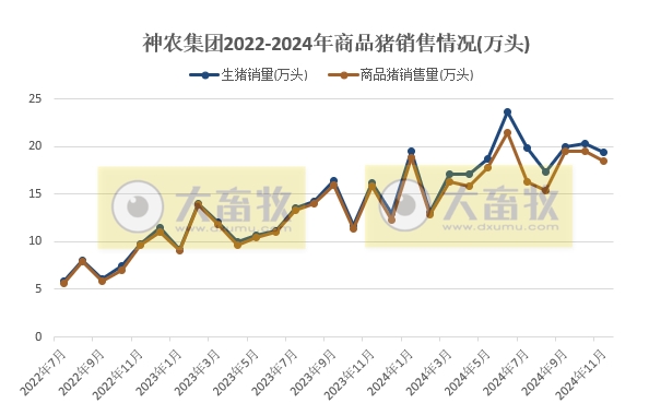 神农生猪销售有突破,傲农销量再创新低——部分上市猪企2024年11月及前11月生猪销售情况