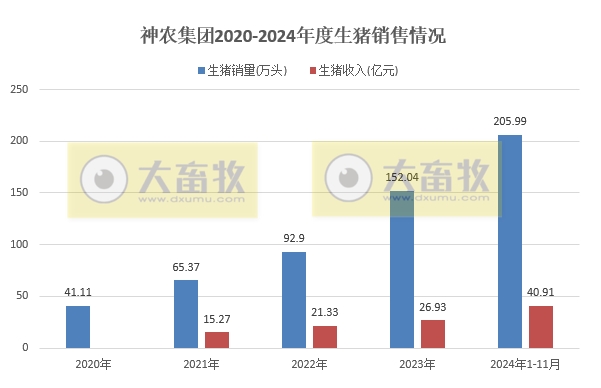 神农生猪销售有突破,傲农销量再创新低——部分上市猪企2024年11月及前11月生猪销售情况