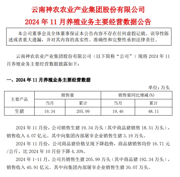 神农生猪销售有突破,傲农销量再创新低——部分上市猪企2024年11月及前11月生猪销售情况