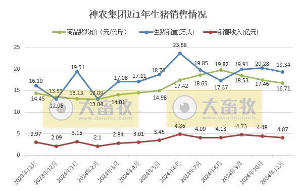 神农生猪销售有突破,傲农销量再创新低——部分上市猪企2024年11月及前11月生猪销售情况