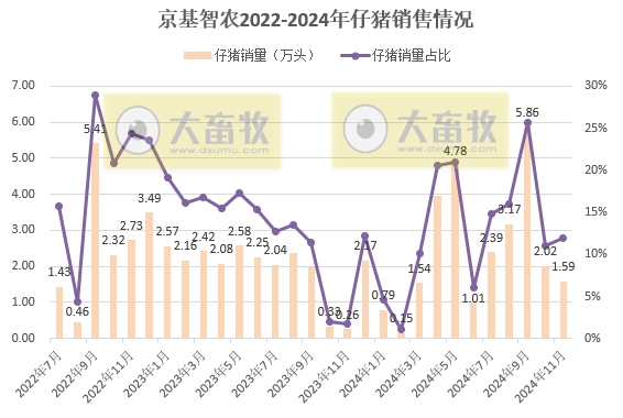 立华连续3个月创新高、金新农和东瑞销量下降,京基降至近2年最低——部分上市猪企2024年11月及前11月生猪销售情况