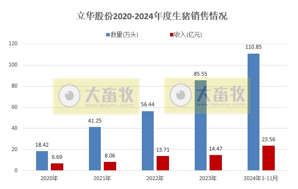立华连续3个月创新高、金新农和东瑞销量下降,京基降至近2年最低——部分上市猪企2024年11月及前11月生猪销售情况