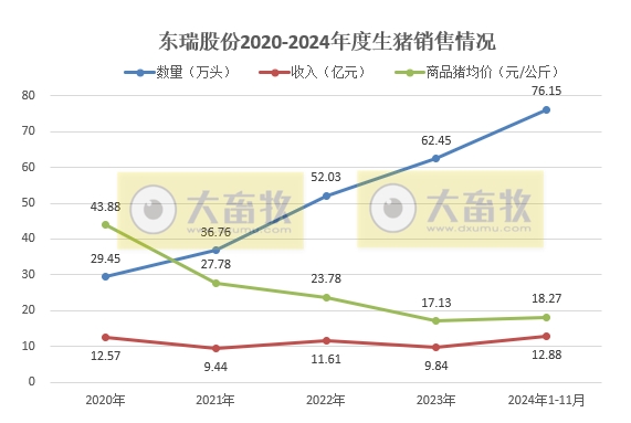 立华连续3个月创新高、金新农和东瑞销量下降,京基降至近2年最低——部分上市猪企2024年11月及前11月生猪销售情况