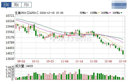 今日猪价 | 2024.12.19 猪价行情——北涨南跌