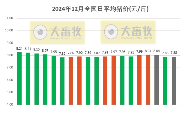 今日猪价 | 2024.12.19 猪价行情——北涨南跌