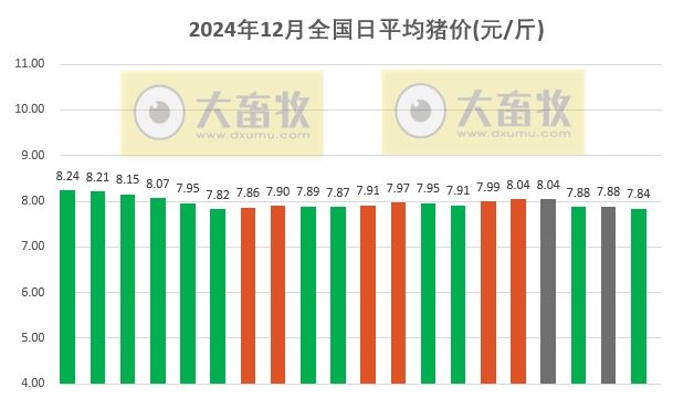 今日猪价 | 2024.12.20 猪价行情——继续下跌，跌至近2周最低