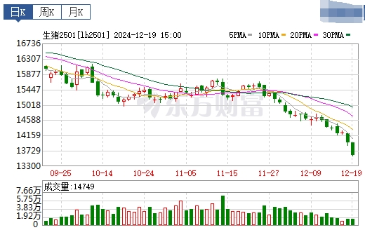 今日猪价 | 2024.12.20 猪价行情——继续下跌，跌至近2周最低
