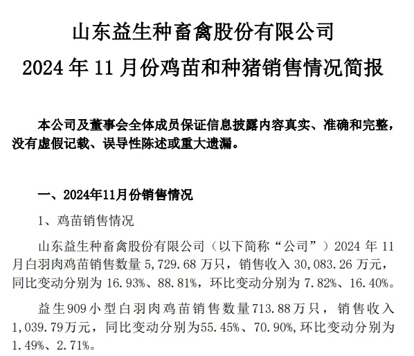 益生、民和和晓鸣2024年11月及前11月鸡苗销售情况