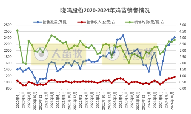 益生、民和和晓鸣2024年11月及前11月鸡苗销售情况