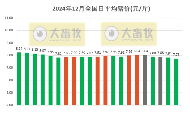 今日猪价 | 2024.12.21 猪价行情——大幅下跌，且跌至近7个月最低