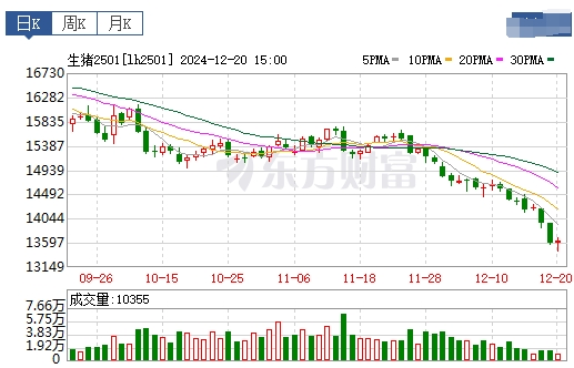 今日猪价 | 2024.12.21 猪价行情——大幅下跌，且跌至近7个月最低