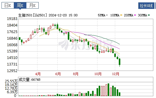 今日猪价 | 2024.12.22 猪价行情——一片绿油油的，下跌幅度继续扩大