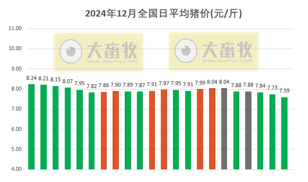 今日猪价 | 2024.12.22 猪价行情——一片绿油油的，下跌幅度继续扩大