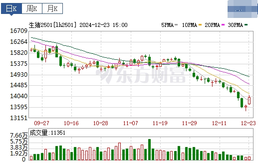 今日猪价 | 2024.12.24 猪价行情——多数上涨