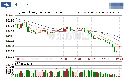 今日猪价 | 2024.12.25 猪价行情——一路飘红,上涨幅度扩大