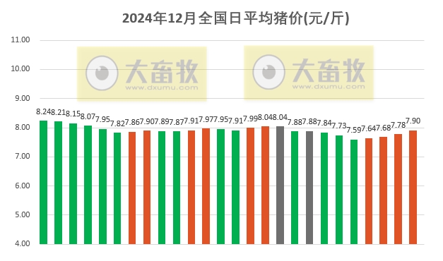 今日猪价 | 2024.12.26 猪价行情——连涨4天,继续飘红