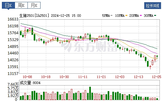 今日猪价 | 2024.12.26 猪价行情——连涨4天,继续飘红