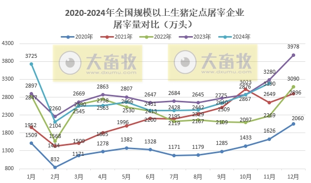 2024年11月全国规模以上生猪定点屠宰企业的屠宰量和价格情况——量升价跌