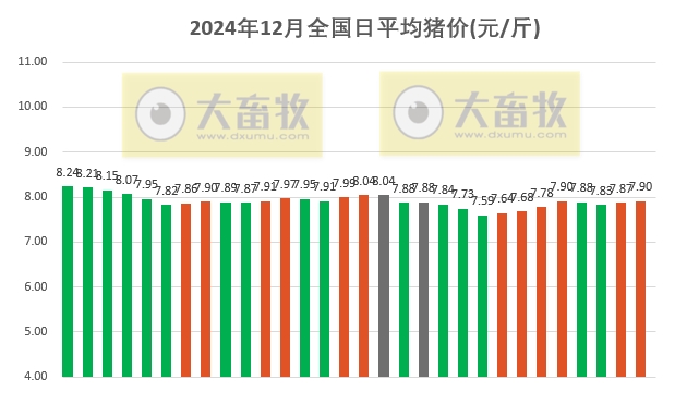 今日猪价 | 2024.12.30 猪价行情——半数省份继续上涨