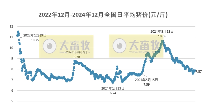 今日猪价 | 2024.12.31 猪价行情——震荡下跌