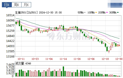 今日猪价 | 2024.12.31 猪价行情——震荡下跌