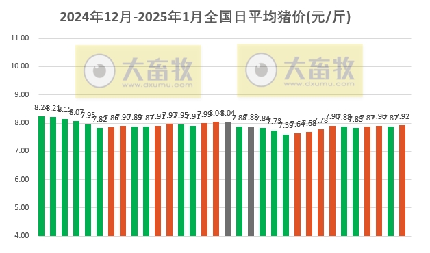今日猪价 | 2025.01.01 猪价行情——新年开门红