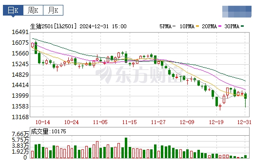 今日猪价 | 2025.01.01 猪价行情——新年开门红