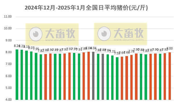 今日猪价 | 2025.01.02 猪价行情——继续满堂红
