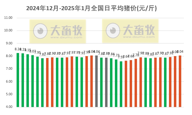 今日猪价 | 2025.01.03 猪价行情——大多数继续上涨，已连涨3天，突破8元大关