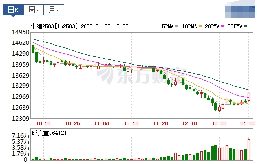 今日猪价 | 2025.01.03 猪价行情——大多数继续上涨,已连涨3天,突破8元大关