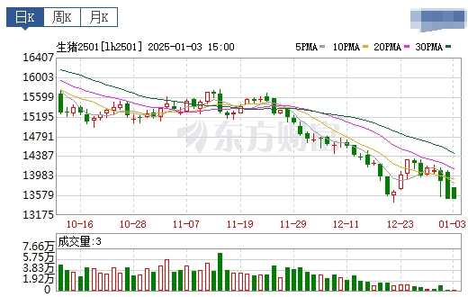 今日猪价 | 2025.01.04 猪价行情——连续4天上涨，涨至近31天最高价