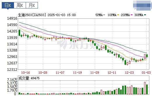 今日猪价 | 2025.01.04 猪价行情——连续4天上涨，涨至近31天最高价