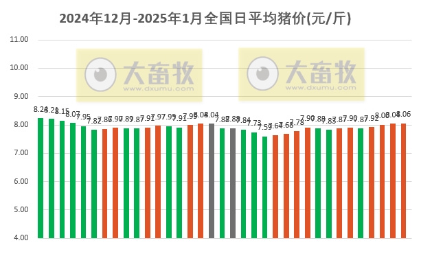今日猪价 | 2025.01.04 猪价行情——连续4天上涨，涨至近31天最高价