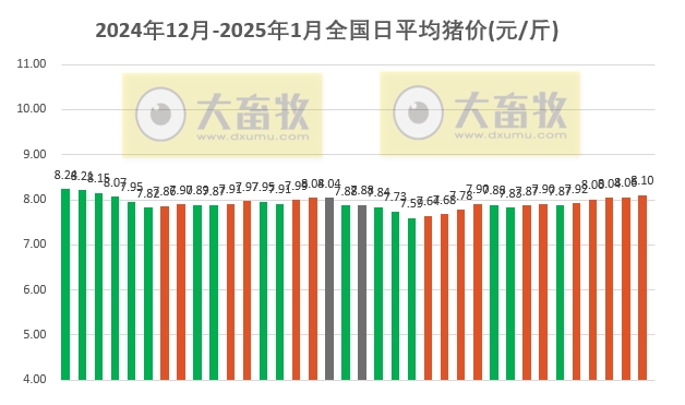 今日猪价 | 2025.01.05 猪价行情——大多数省份上涨,且连续5天上涨