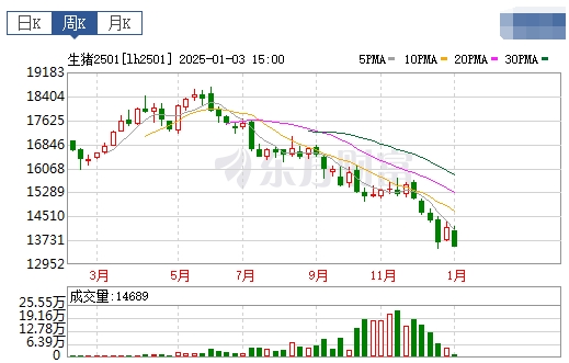今日猪价 | 2025.01.05 猪价行情——大多数省份上涨,且连续5天上涨