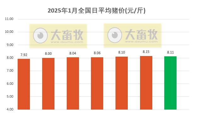 今日猪价 | 2025.01.07猪价行情——止涨下跌