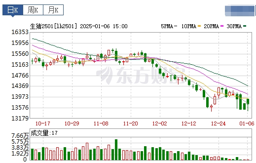 今日猪价 | 2025.01.07猪价行情——止涨下跌