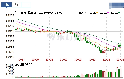 今日猪价 | 2025.01.07猪价行情——止涨下跌