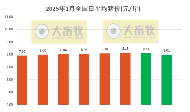 今日猪价 | 2025.01.08 猪价行情——一片绿油油