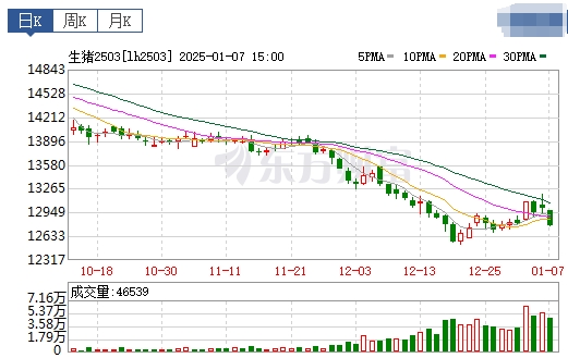 今日猪价 | 2025.01.08 猪价行情——一片绿油油