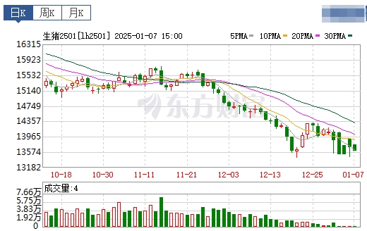 今日猪价 | 2025.01.08 猪价行情——一片绿油油