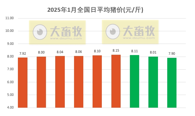 今日猪价 | 2025.01.09 猪价行情——又是绿油油一片，且跌破8元大关
