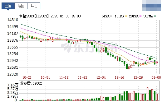 今日猪价 | 2025.01.09 猪价行情——又是绿油油一片，且跌破8元大关