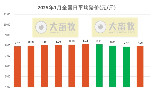 今日猪价 | 2025.01.10 猪价行情——南跌北涨