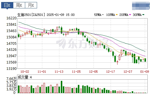 今日猪价 | 2025.01.10 猪价行情——南跌北涨