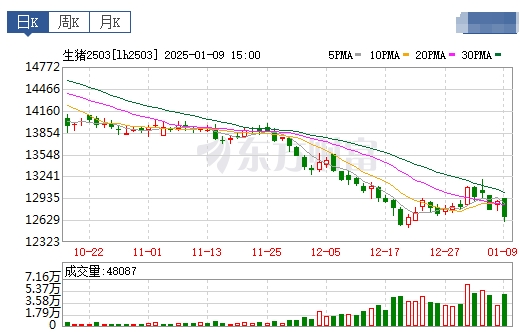 今日猪价 | 2025.01.10 猪价行情——南跌北涨