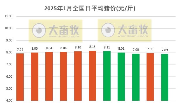 今日猪价 | 2025.01.11 猪价行情——绝大多数下跌,且跌至今年以来最低价